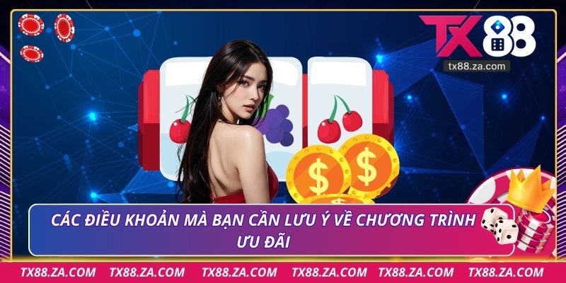 Các điều khoản mà bạn cần lưu ý về chương trình ưu đãi